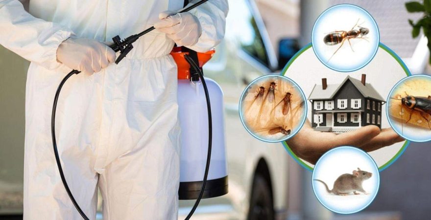 Mudanya Böcek İlaçlama