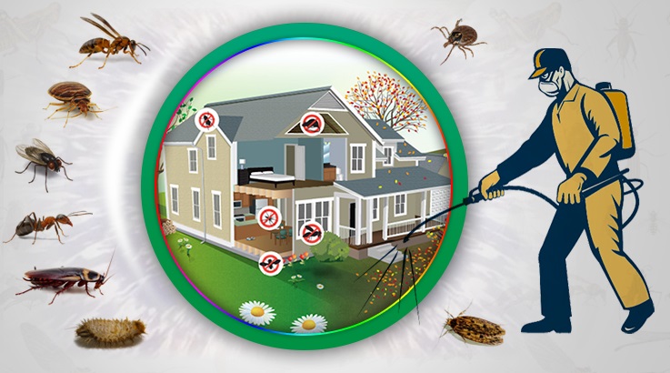 Mudanya Böcek İlaçlama