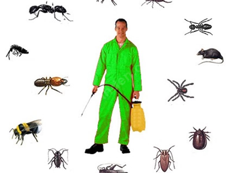 Mudanya Böcek İlaçlama